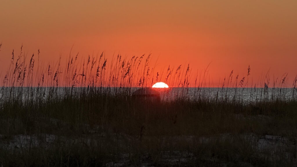Sunset over the Gulf behind the sea oats on the dunes in Santa Rosa Beach