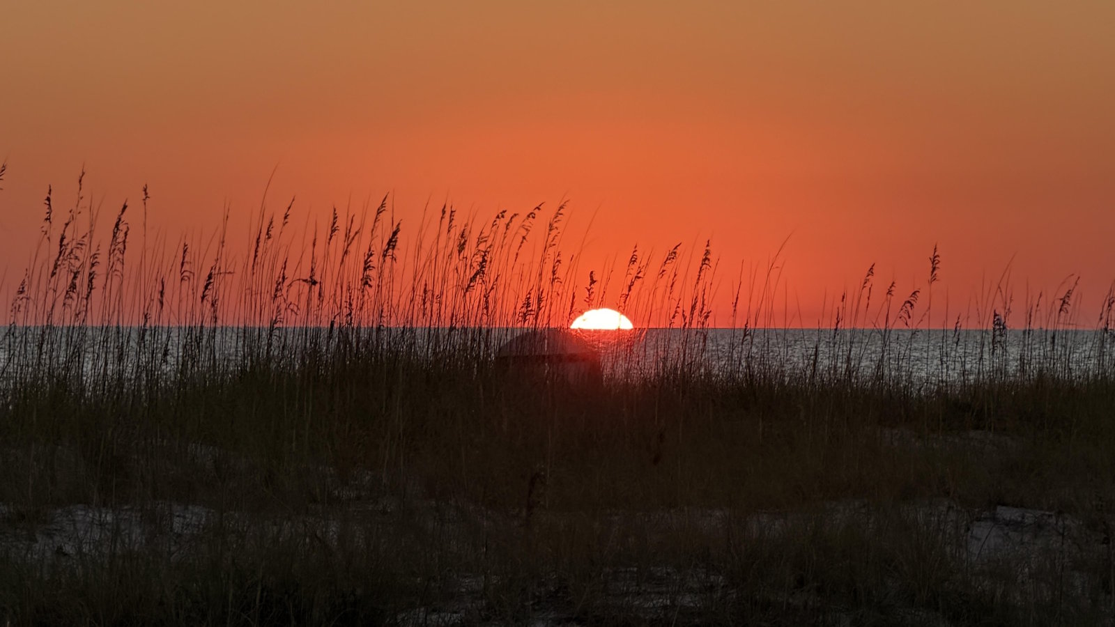 Sunset over the Gulf behind the sea oats on the dunes in Santa Rosa Beach